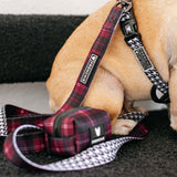 Frenchie Comfort Leash - Classic Plaid from Frenchie Bulldog