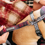 Frenchie Comfort Leash - Classic Plaid from Frenchie Bulldog