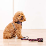 Frenchie Comfort Leash - Classic Plaid from Frenchie Bulldog