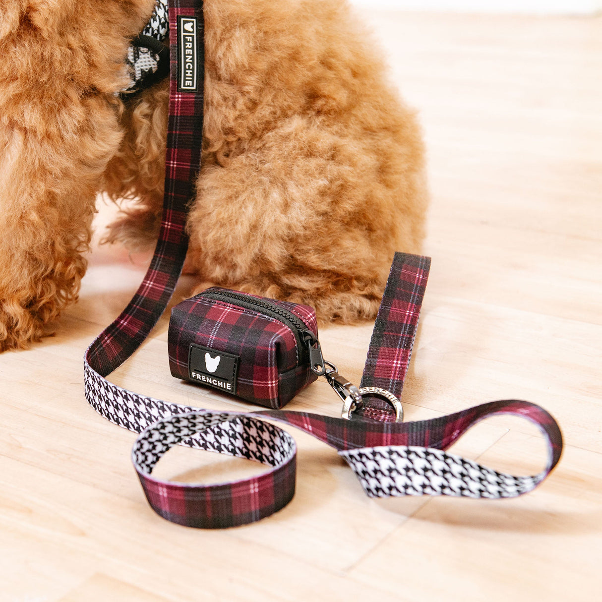 Frenchie Comfort Leash - Classic Plaid from Frenchie Bulldog