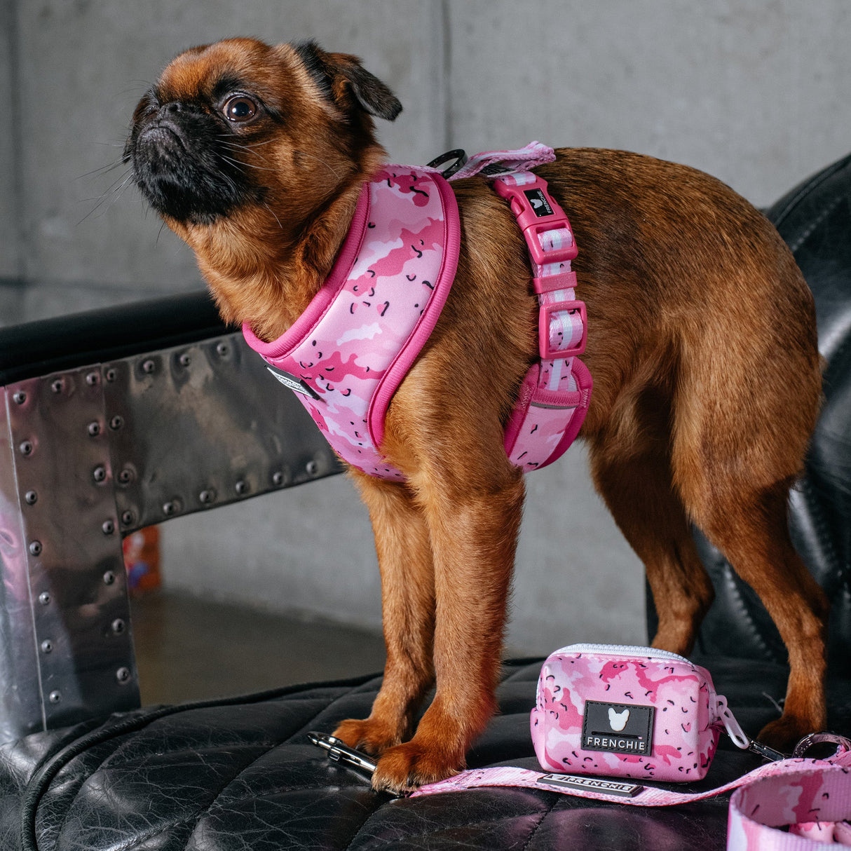 Frenchie Poo Bag Holder - Desert Camo (Pink) from Frenchie Bulldog
