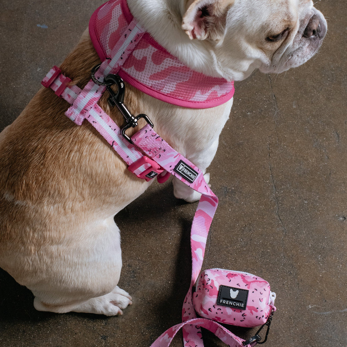 Frenchie Poo Bag Holder - Desert Camo (Pink) from Frenchie Bulldog