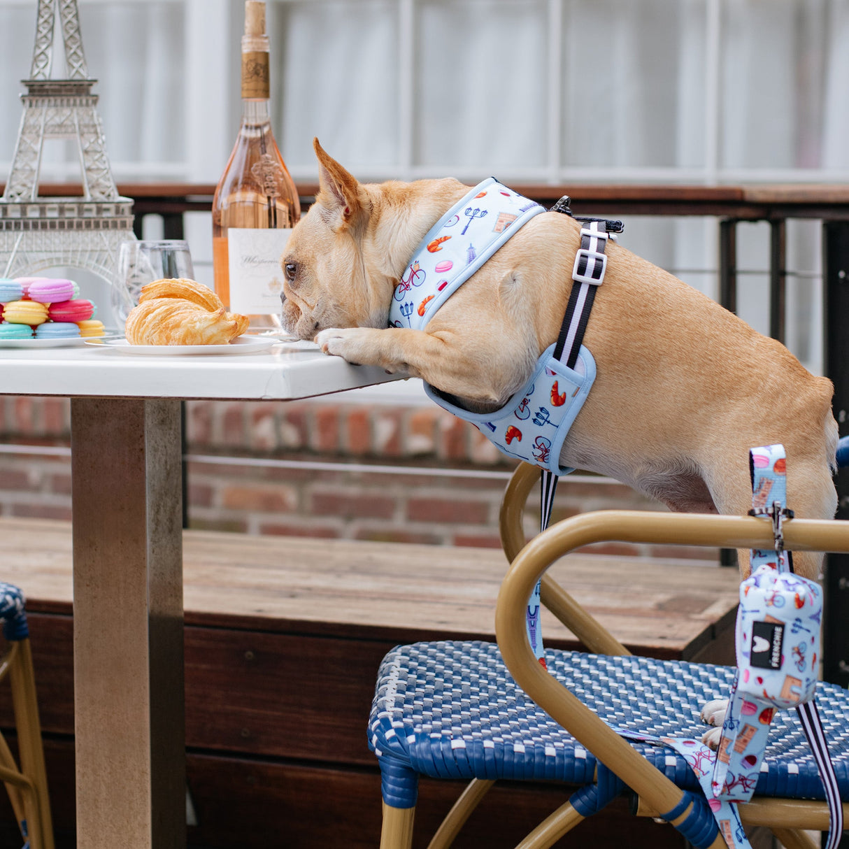 Frenchie Duo Reversible Harness - Frenchie in Paris from Frenchie Bulldog