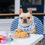 Frenchie Duo Reversible Harness - Frenchie in Paris from Frenchie Bulldog