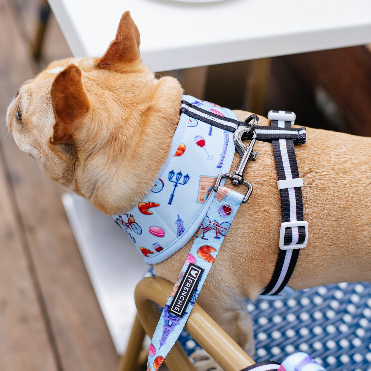 Frenchie Duo Reversible Harness - Frenchie in Paris from Frenchie Bulldog