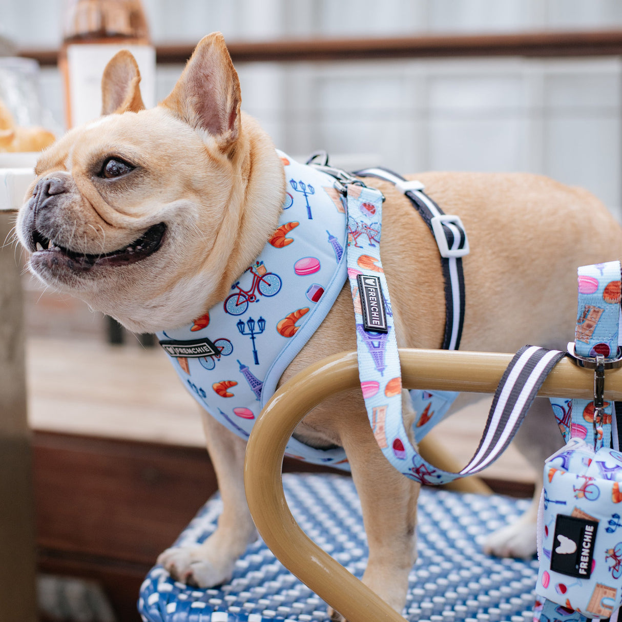 Frenchie Duo Reversible Harness - Frenchie in Paris from Frenchie Bulldog