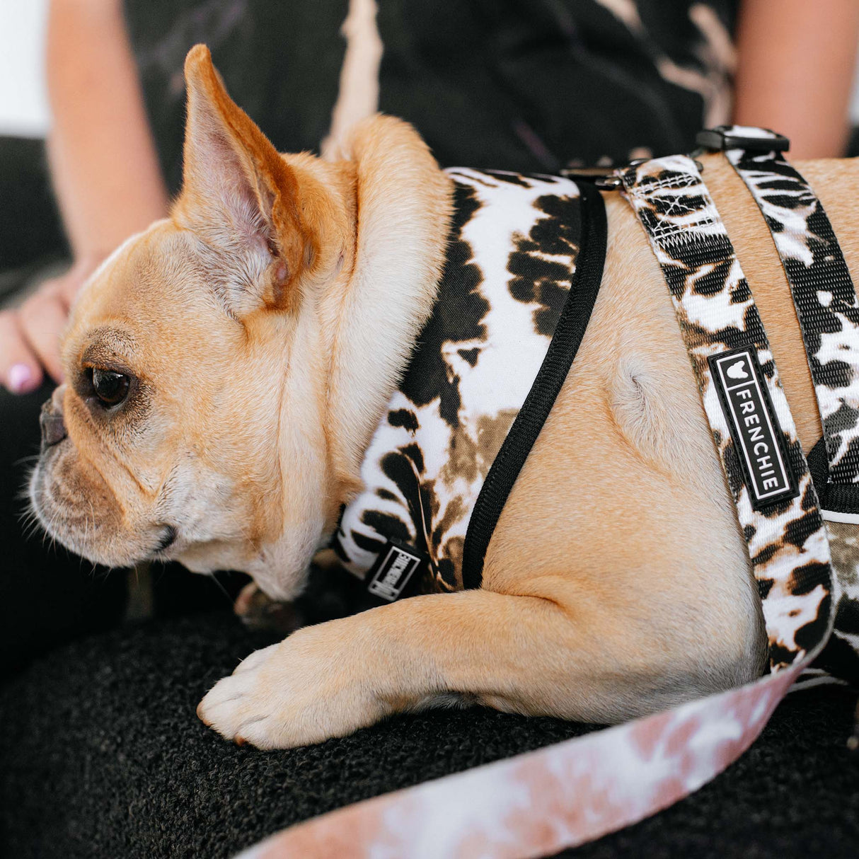 Frenchie Comfort Leash - Earthy Tie Dye from Frenchie Bulldog