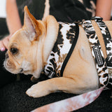 Frenchie Comfort Leash - Earthy Tie Dye from Frenchie Bulldog