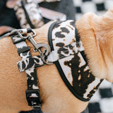 Frenchie Duo Reversible Harness - Earthy Tie Dye from Frenchie Bulldog
