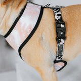 Frenchie Duo Reversible Harness - Earthy Tie Dye from Frenchie Bulldog