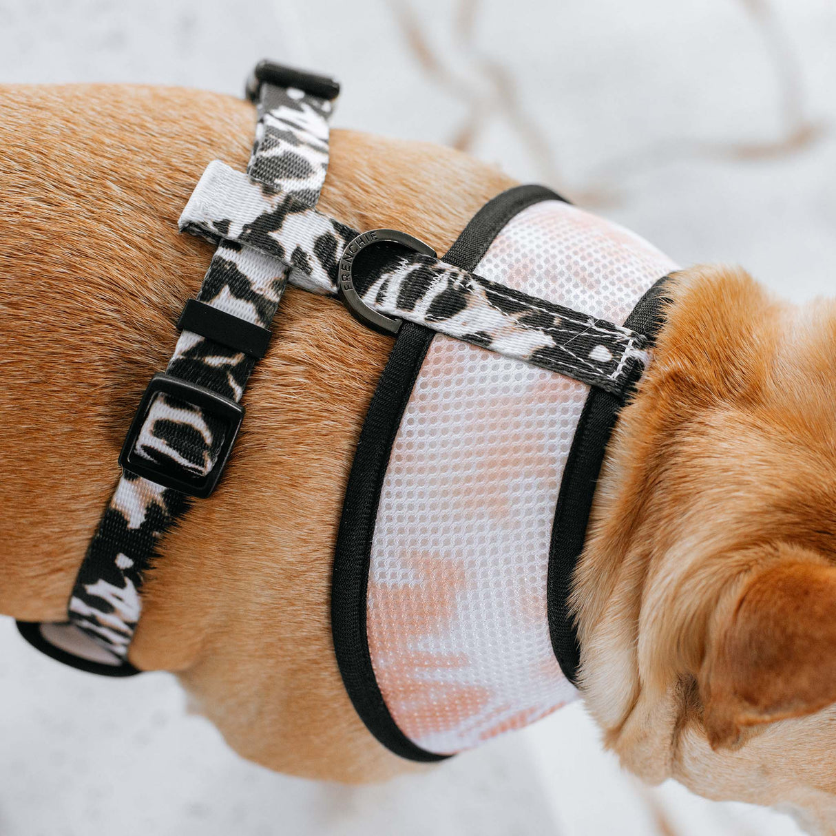 Frenchie Duo Reversible Harness - Earthy Tie Dye from Frenchie Bulldog
