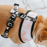 Frenchie Duo Reversible Harness - Earthy Tie Dye from Frenchie Bulldog