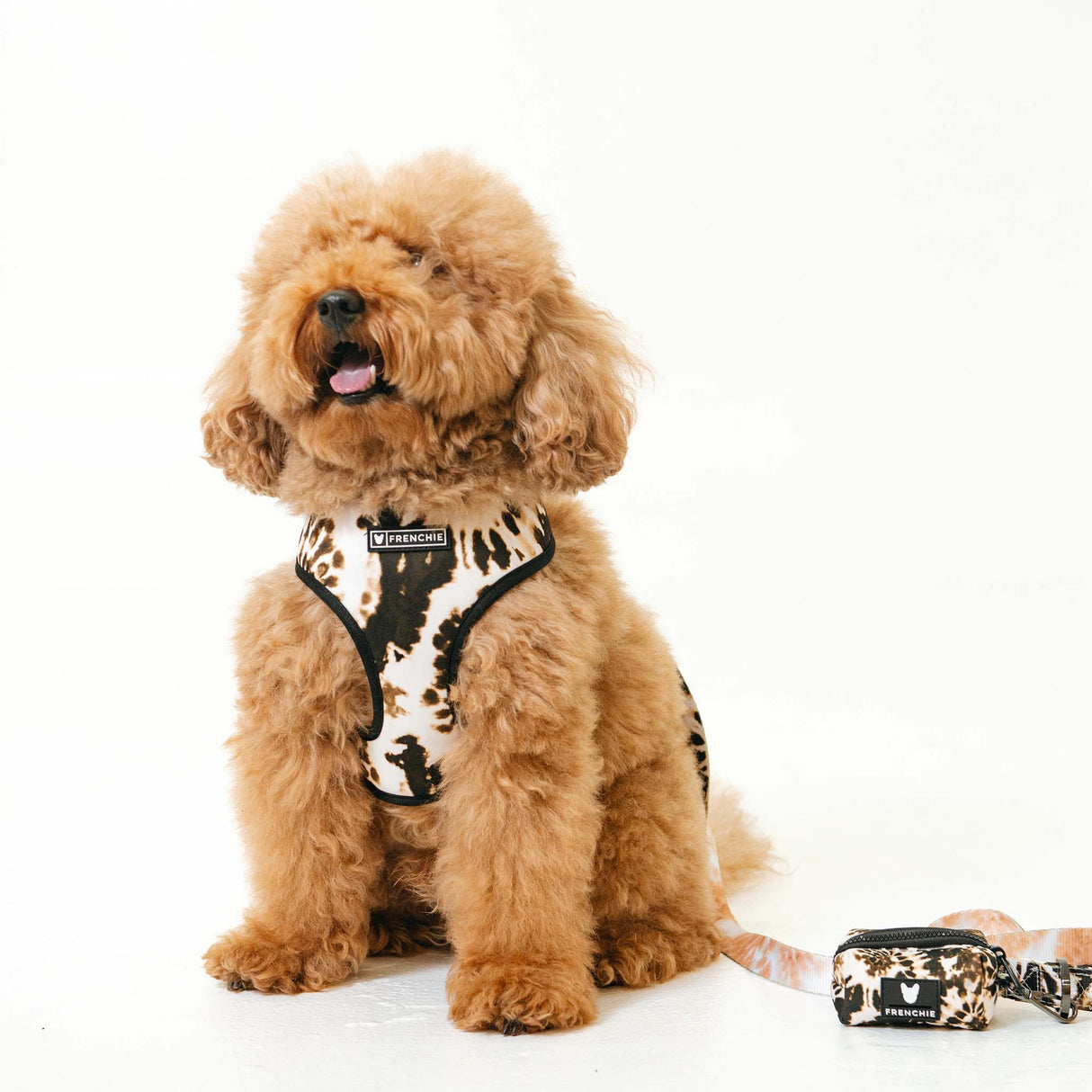 Frenchie Duo Reversible Harness - Earthy Tie Dye from Frenchie Bulldog