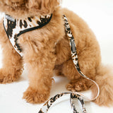 Frenchie Comfort Leash - Earthy Tie Dye from Frenchie Bulldog
