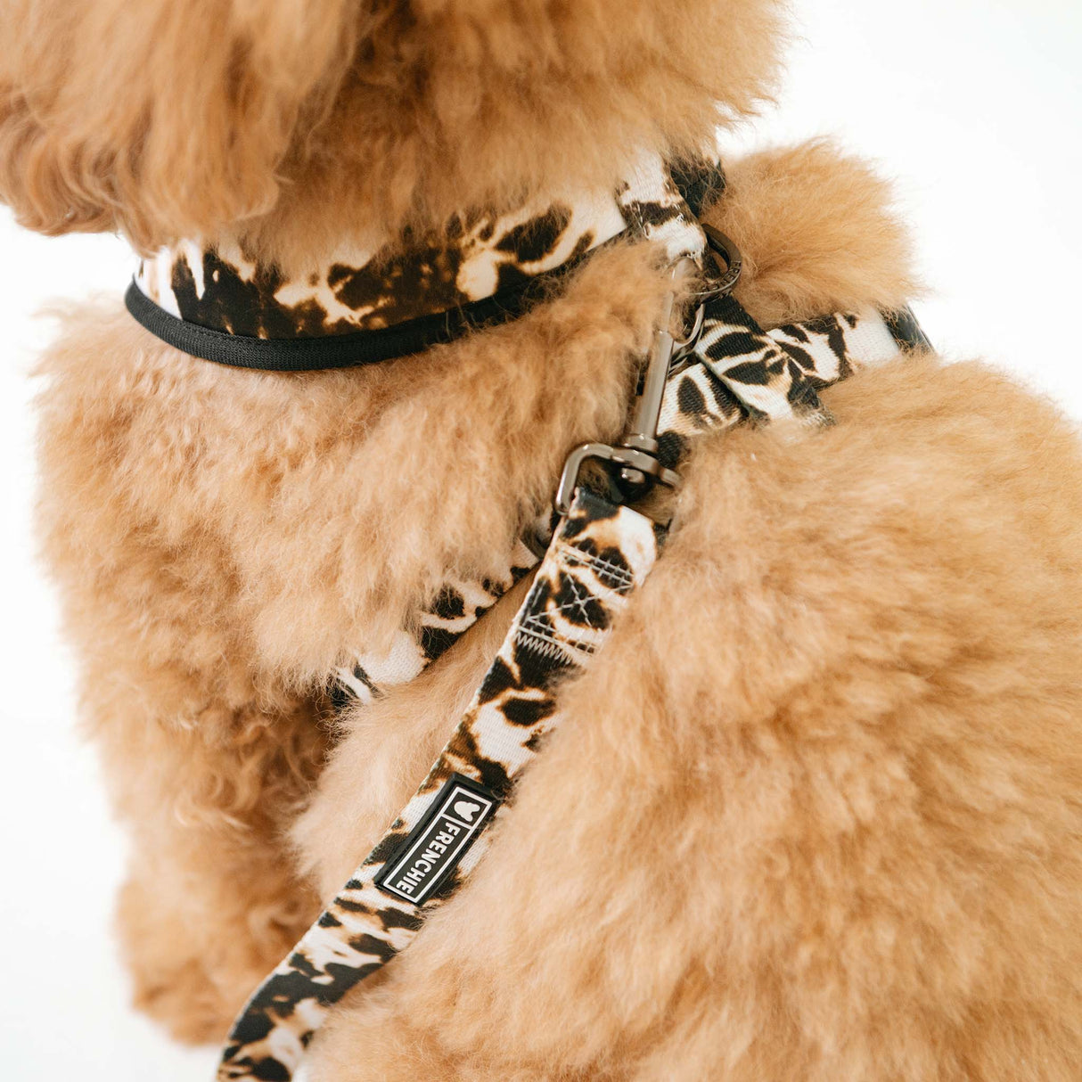 Frenchie Comfort Leash - Earthy Tie Dye from Frenchie Bulldog