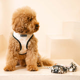 Frenchie Poo Bag Holder - Earthy Tie Dye from Frenchie Bulldog