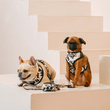 Frenchie Duo Reversible Harness - Earthy Tie Dye from Frenchie Bulldog