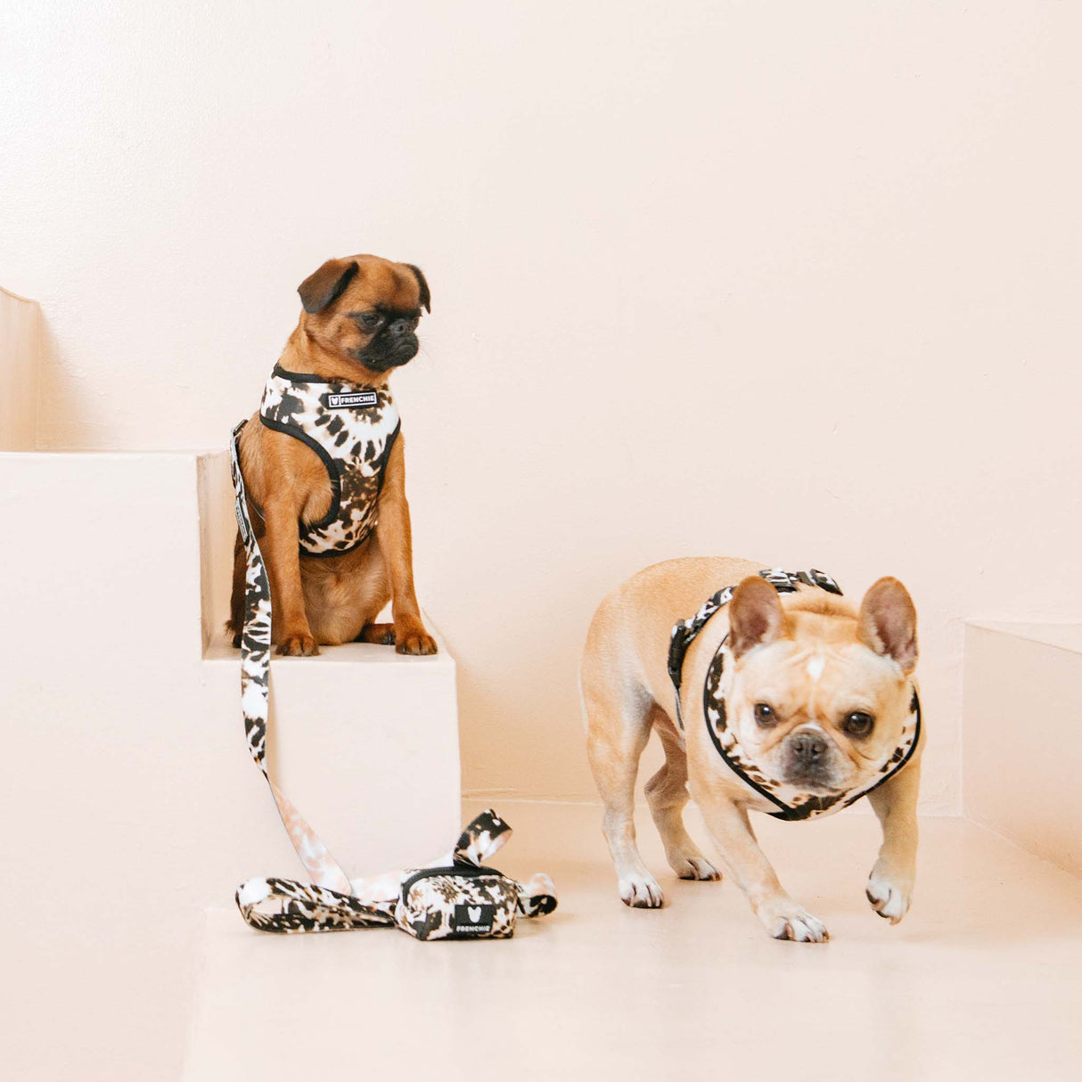 Frenchie Comfort Leash - Earthy Tie Dye from Frenchie Bulldog