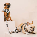 Frenchie Duo Reversible Harness - Earthy Tie Dye from Frenchie Bulldog