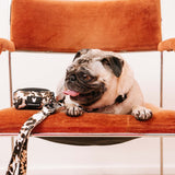Frenchie Poo Bag Holder - Earthy Tie Dye from Frenchie Bulldog