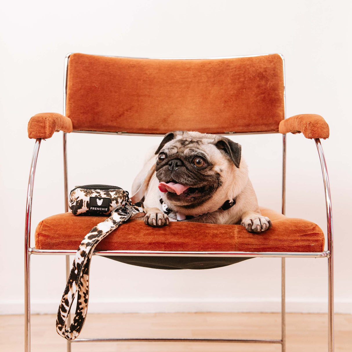Frenchie Comfort Leash - Earthy Tie Dye from Frenchie Bulldog