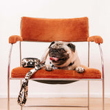 Frenchie Comfort Leash - Earthy Tie Dye from Frenchie Bulldog