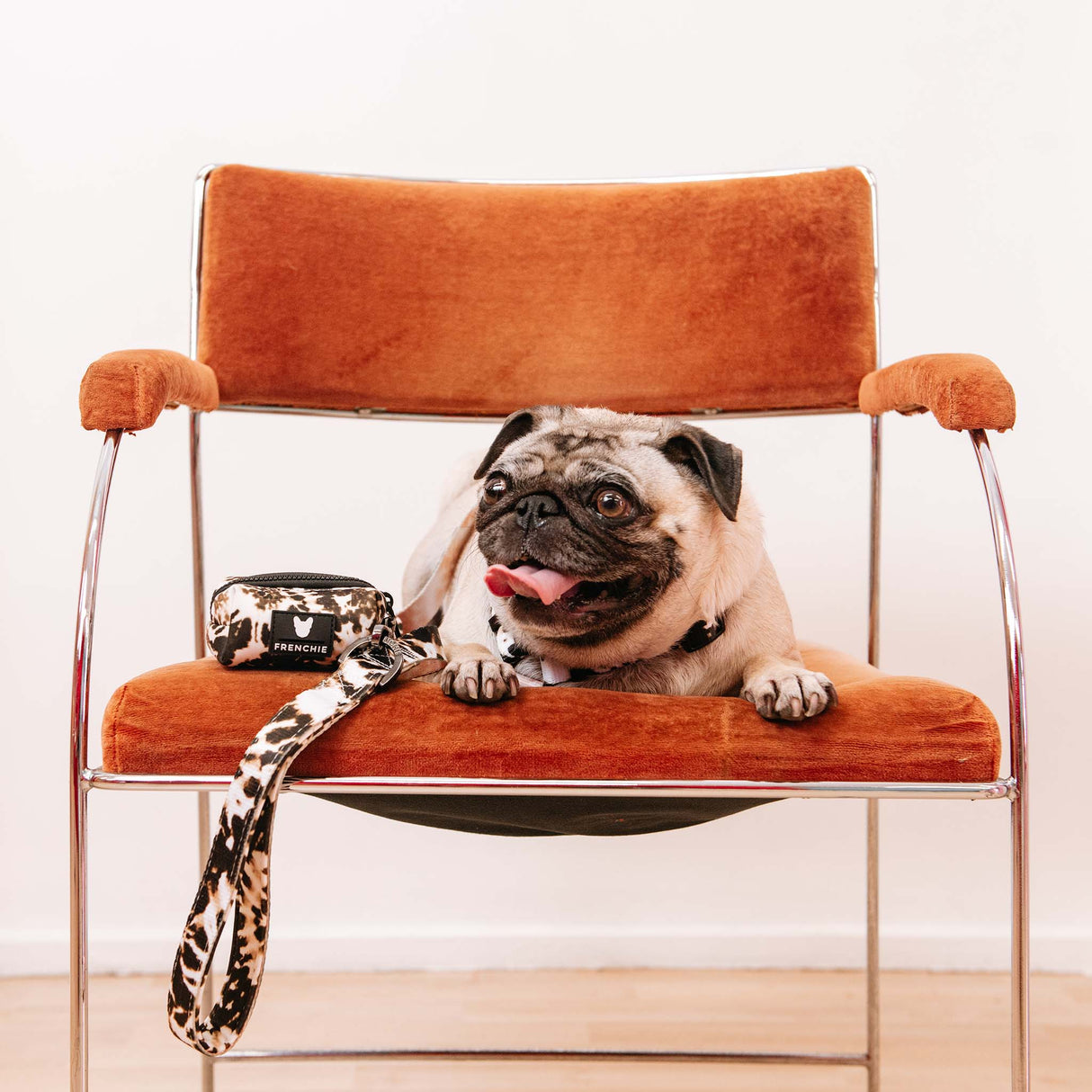 Frenchie Strap Harness - Earthy Tie Dye from Frenchie Bulldog