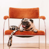 Frenchie Strap Harness - Earthy Tie Dye from Frenchie Bulldog