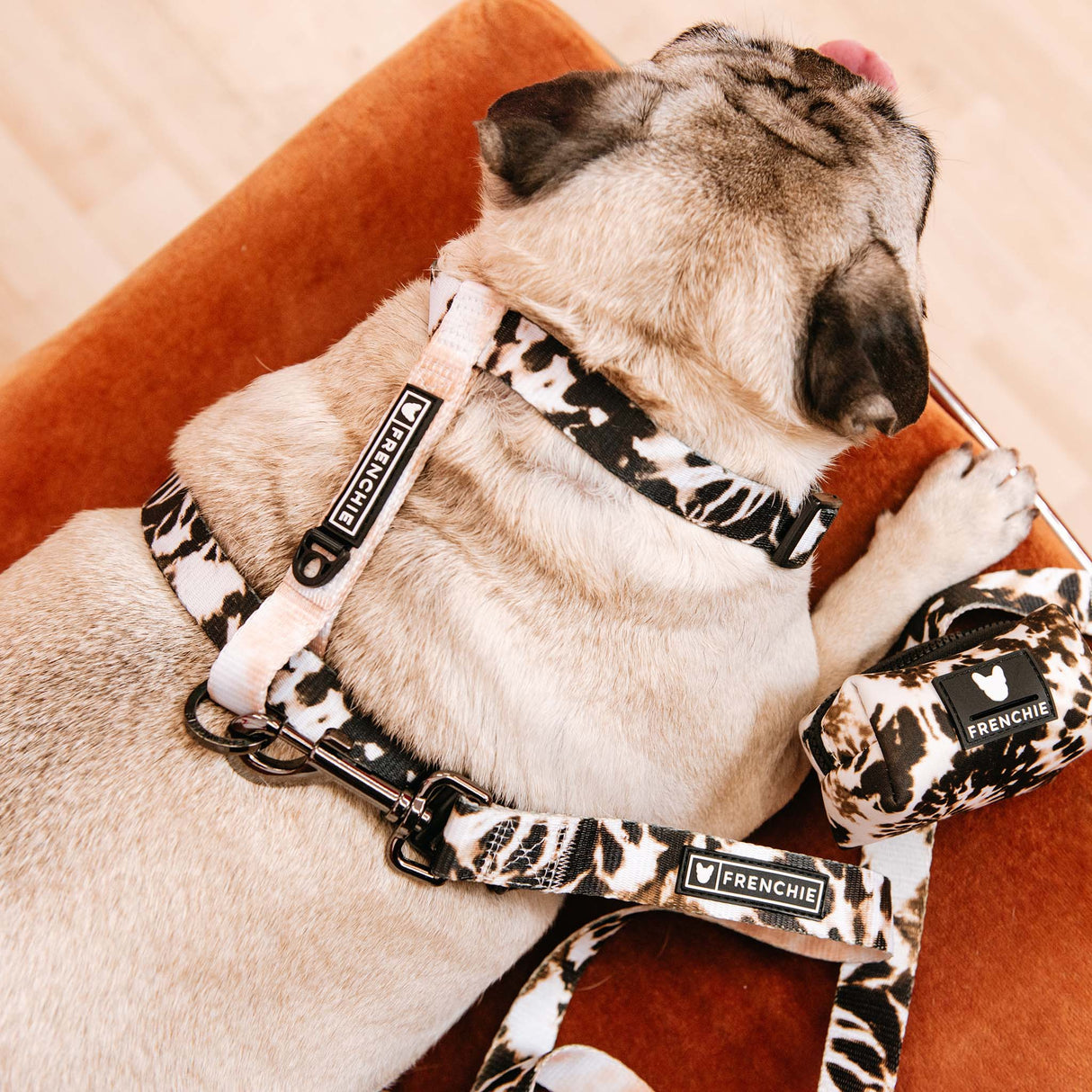 Frenchie Strap Harness - Earthy Tie Dye from Frenchie Bulldog