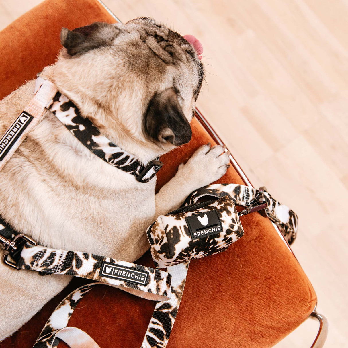 Frenchie Poo Bag Holder - Earthy Tie Dye from Frenchie Bulldog