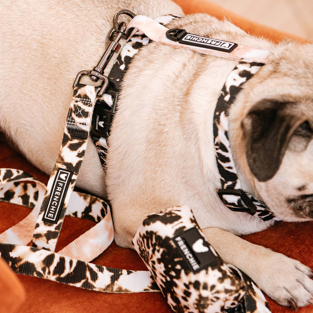 Frenchie Strap Harness - Earthy Tie Dye from Frenchie Bulldog