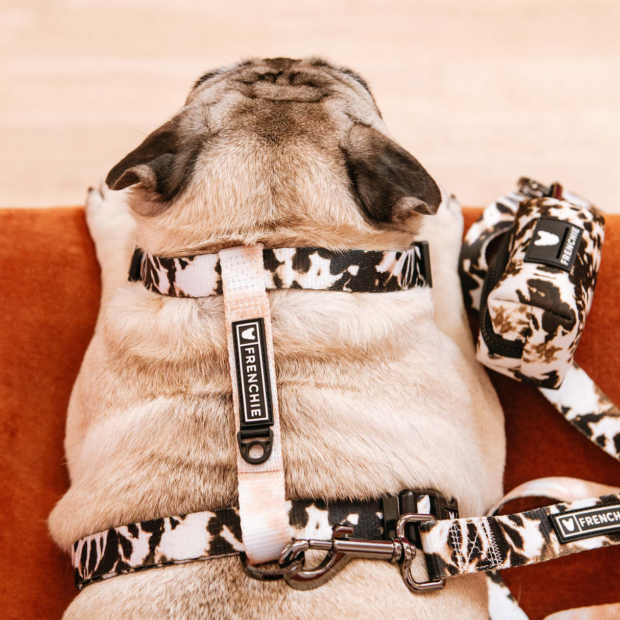 Frenchie Strap Harness - Earthy Tie Dye from Frenchie Bulldog