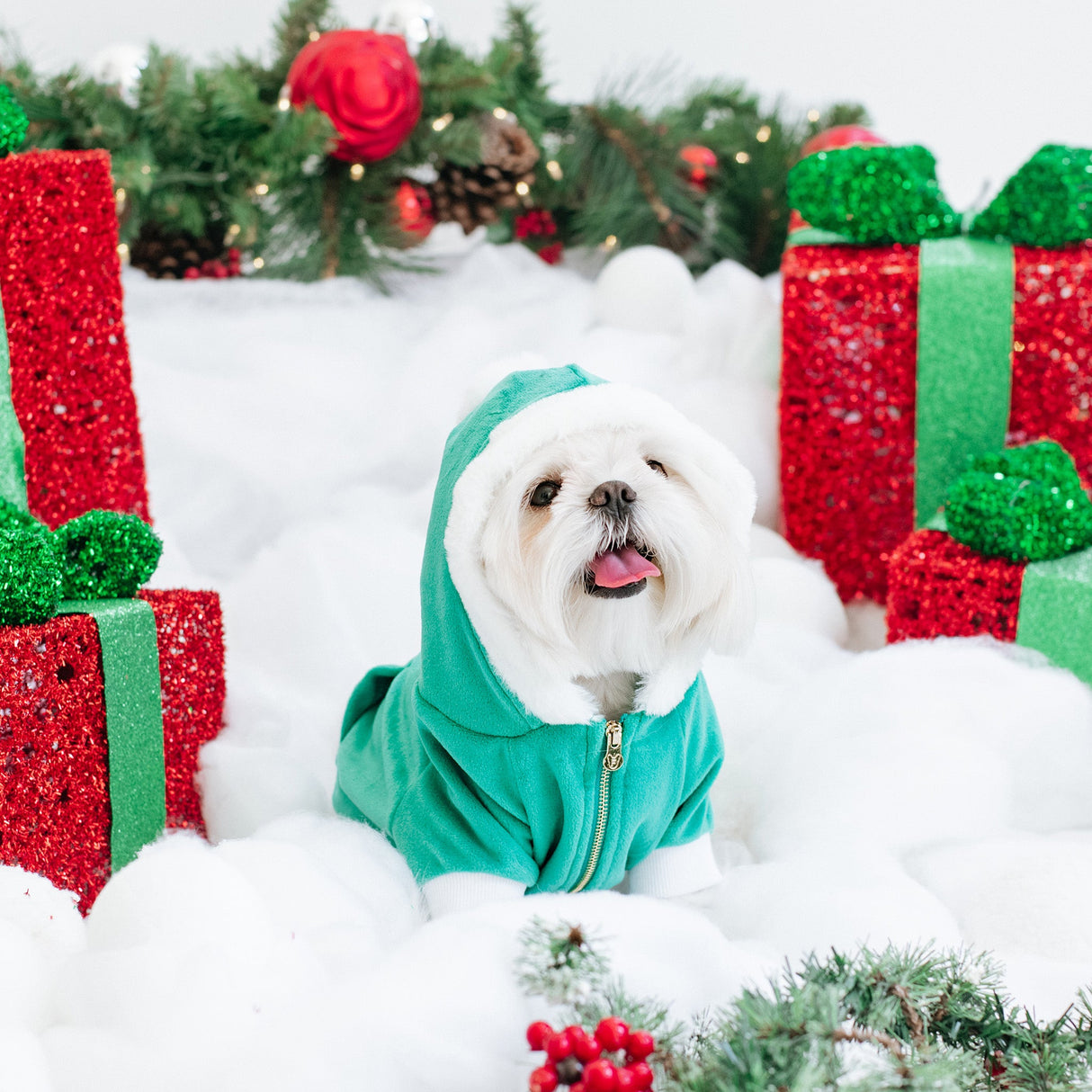 Frenchie Dog Hoodie - Elf from Frenchie Bulldog