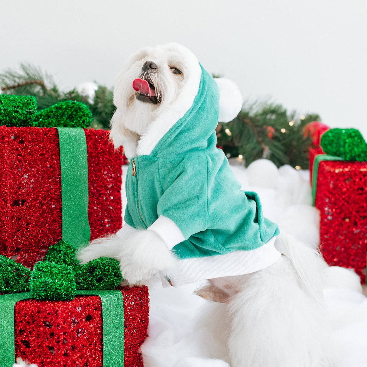 Frenchie Dog Hoodie - Elf from Frenchie Bulldog