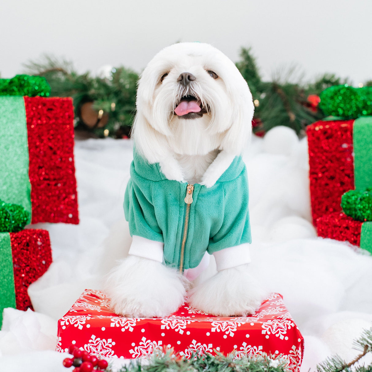 Frenchie Dog Hoodie - Elf from Frenchie Bulldog