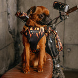 Frenchie Duo Reversible Harness - Flames (Orange) from Frenchie Bulldog