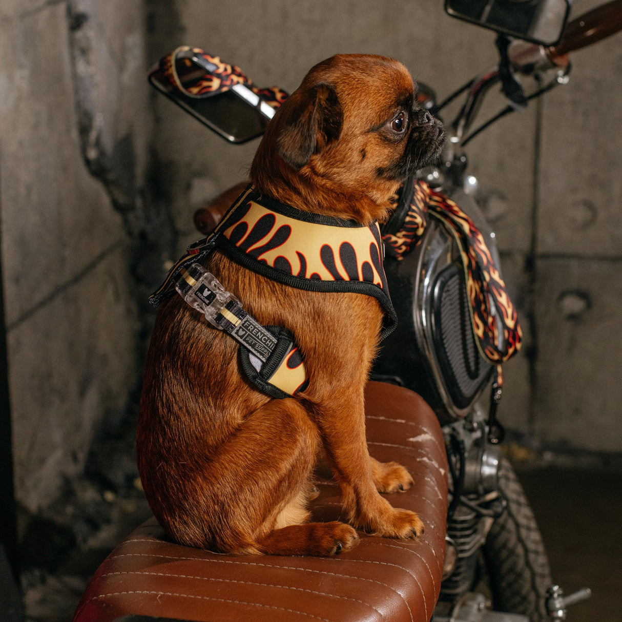 Frenchie Duo Reversible Harness - Flames (Orange) from Frenchie Bulldog