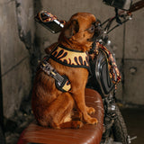 Frenchie Duo Reversible Harness - Flames (Orange) from Frenchie Bulldog