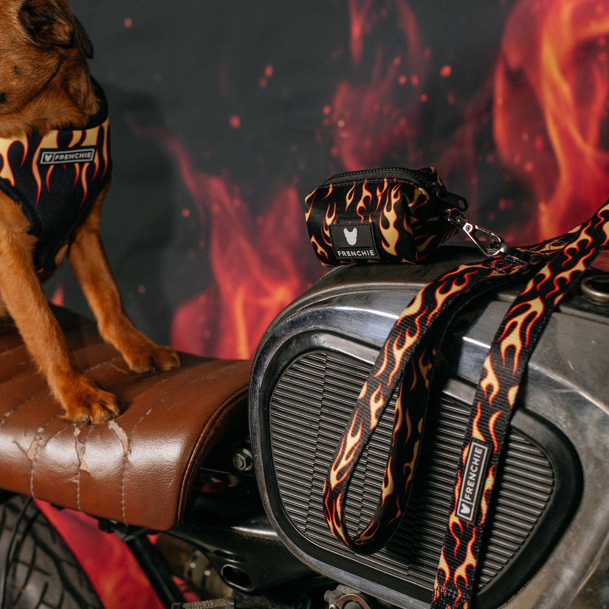 Frenchie Poo Bag Holder - Flames (Orange) from Frenchie Bulldog