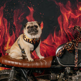 Frenchie Duo Reversible Harness - Flames (Orange) from Frenchie Bulldog