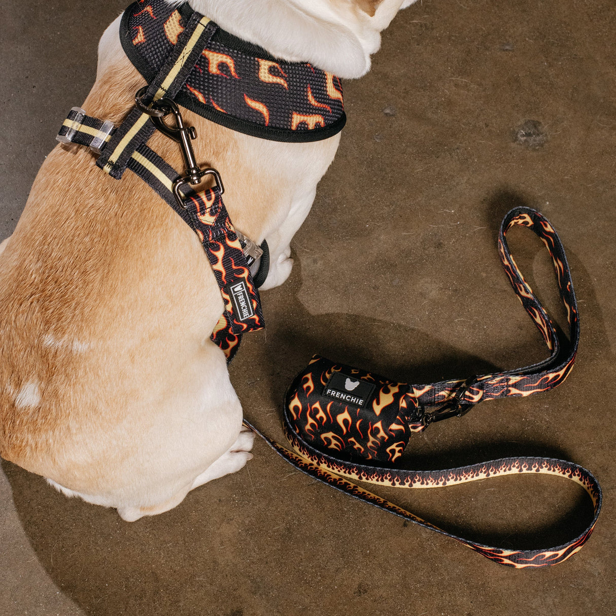 Frenchie Poo Bag Holder - Flames (Orange) from Frenchie Bulldog