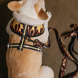 Frenchie Duo Reversible Harness - Flames (Orange) from Frenchie Bulldog