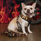 Frenchie Duo Reversible Harness - Flames (Orange) from Frenchie Bulldog