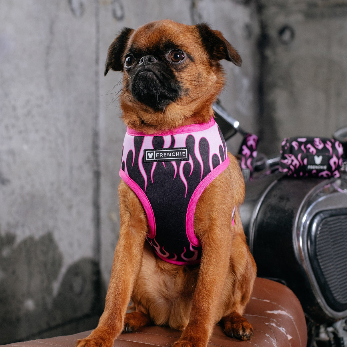 Frenchie Duo Reversible Harness - Flames (Pink) from Frenchie Bulldog