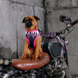 Frenchie Duo Reversible Harness - Flames (Pink) from Frenchie Bulldog