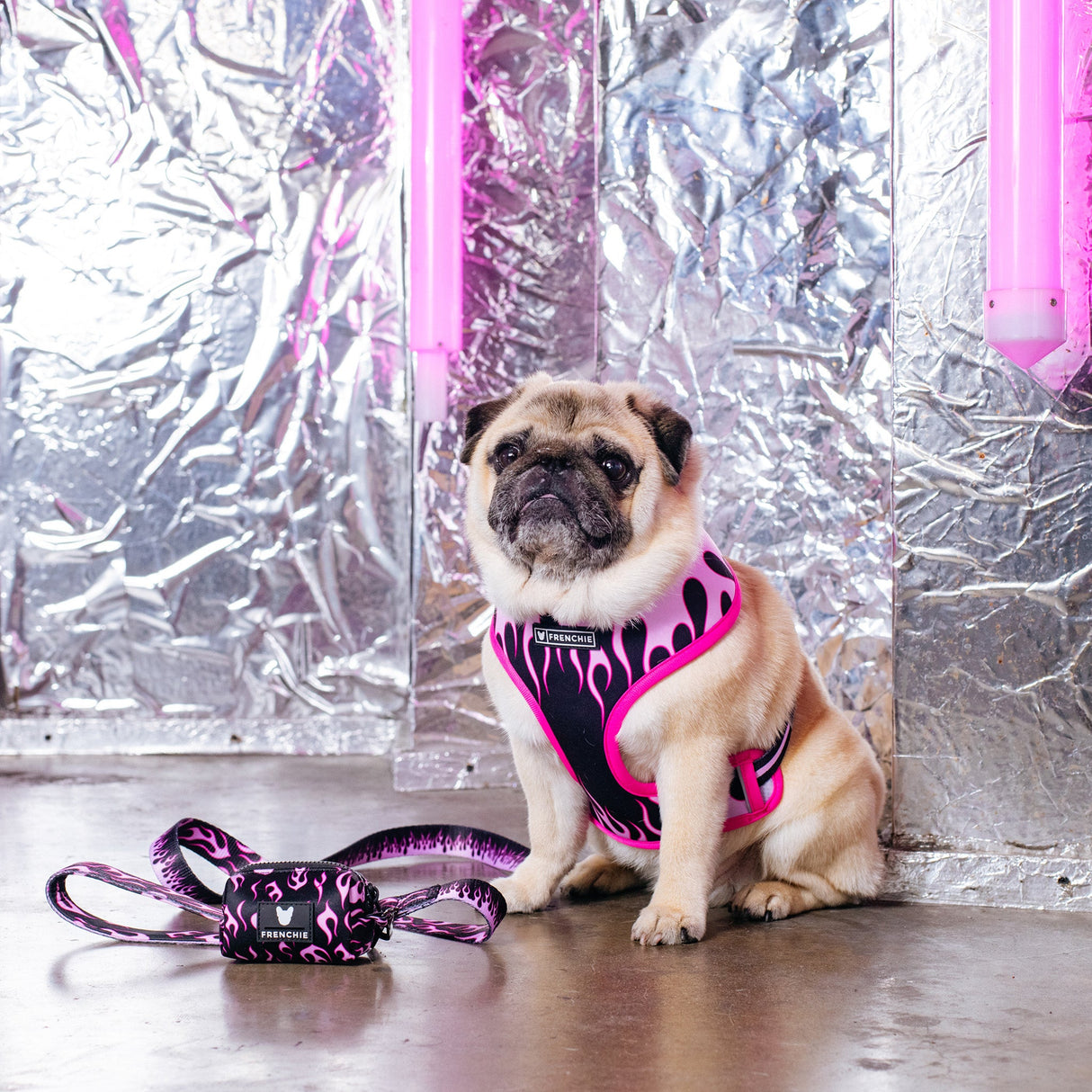 Frenchie Duo Reversible Harness - Flames (Pink) from Frenchie Bulldog