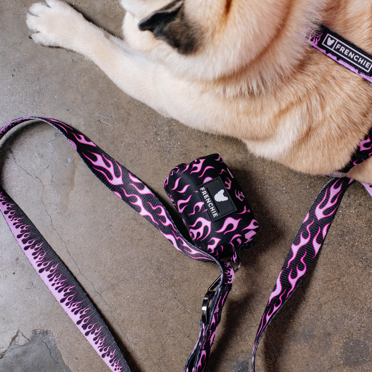 Frenchie Poo Bag Holder - Flames (Pink) from Frenchie Bulldog