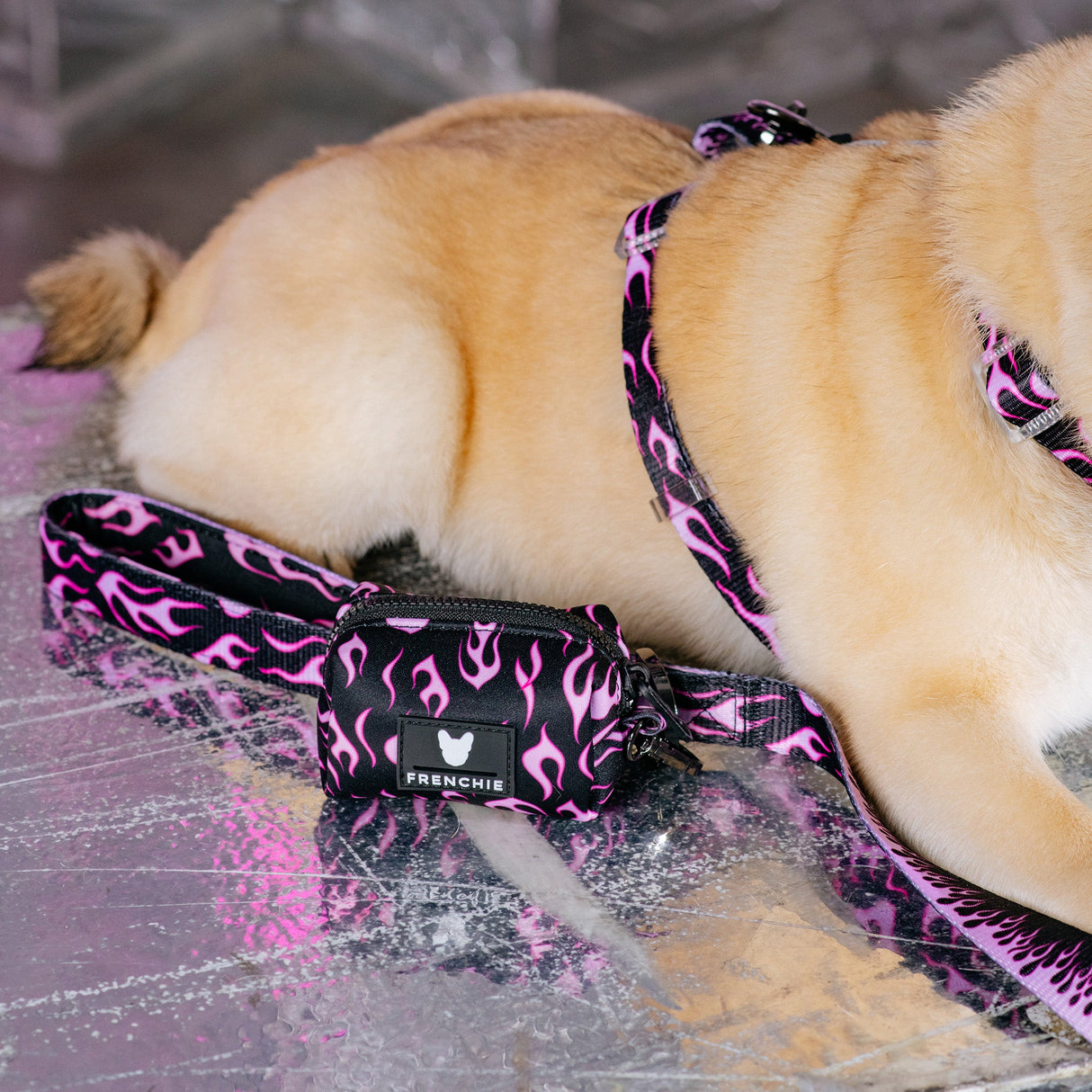 Frenchie Poo Bag Holder - Flames (Pink) from Frenchie Bulldog