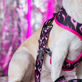 Frenchie Duo Reversible Harness - Flames (Pink) from Frenchie Bulldog