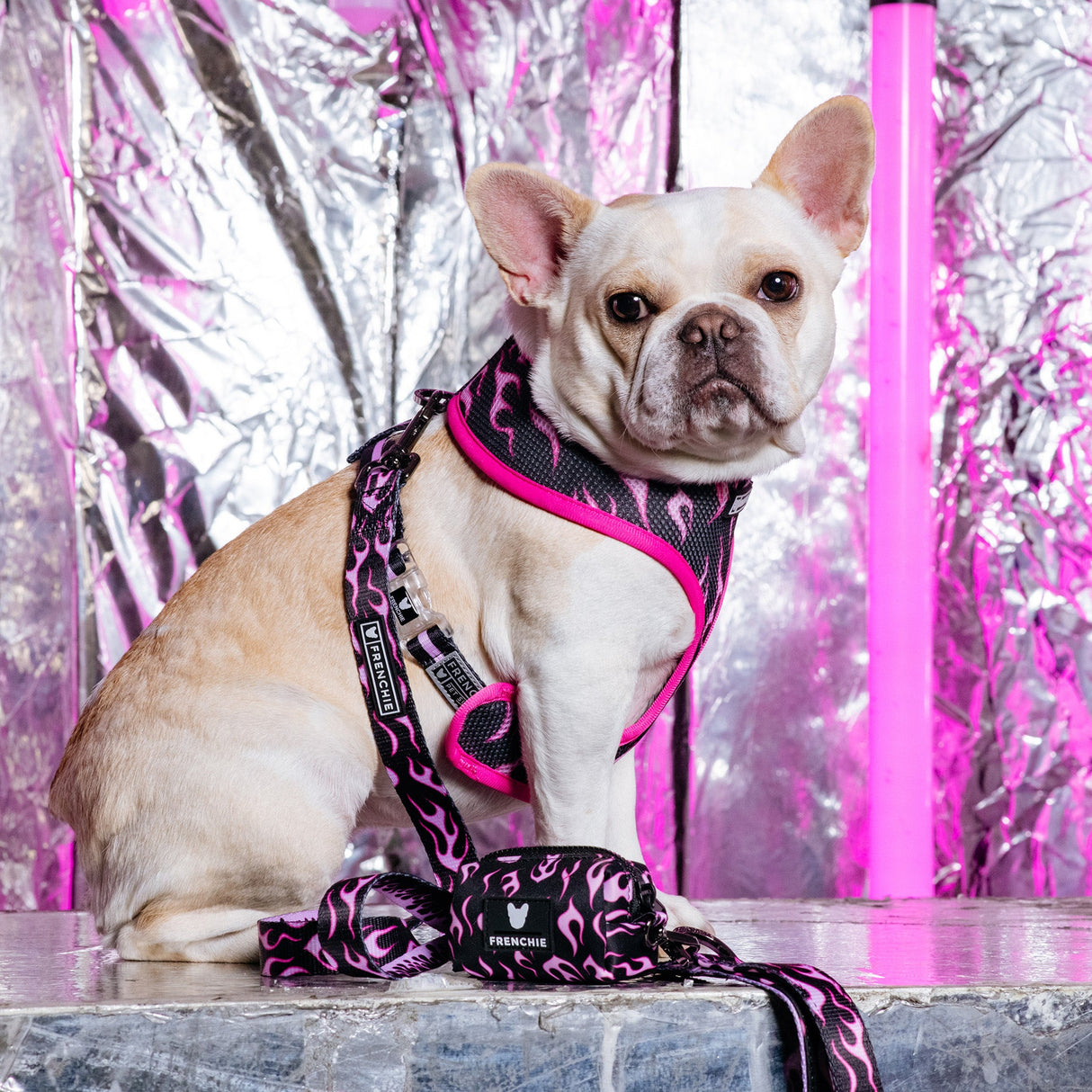 Frenchie Duo Reversible Harness - Flames (Pink) from Frenchie Bulldog
